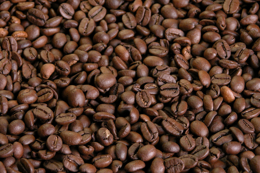 L’Espresso italiano guarda al futuro tra sostenibilità, risorse umane e nuovi segmenti di mercato