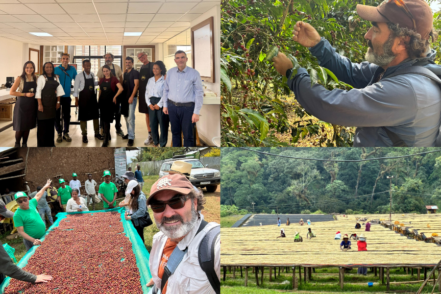 Alle origini del caffè: IEI in Etiopia per un’analisi della materia prima